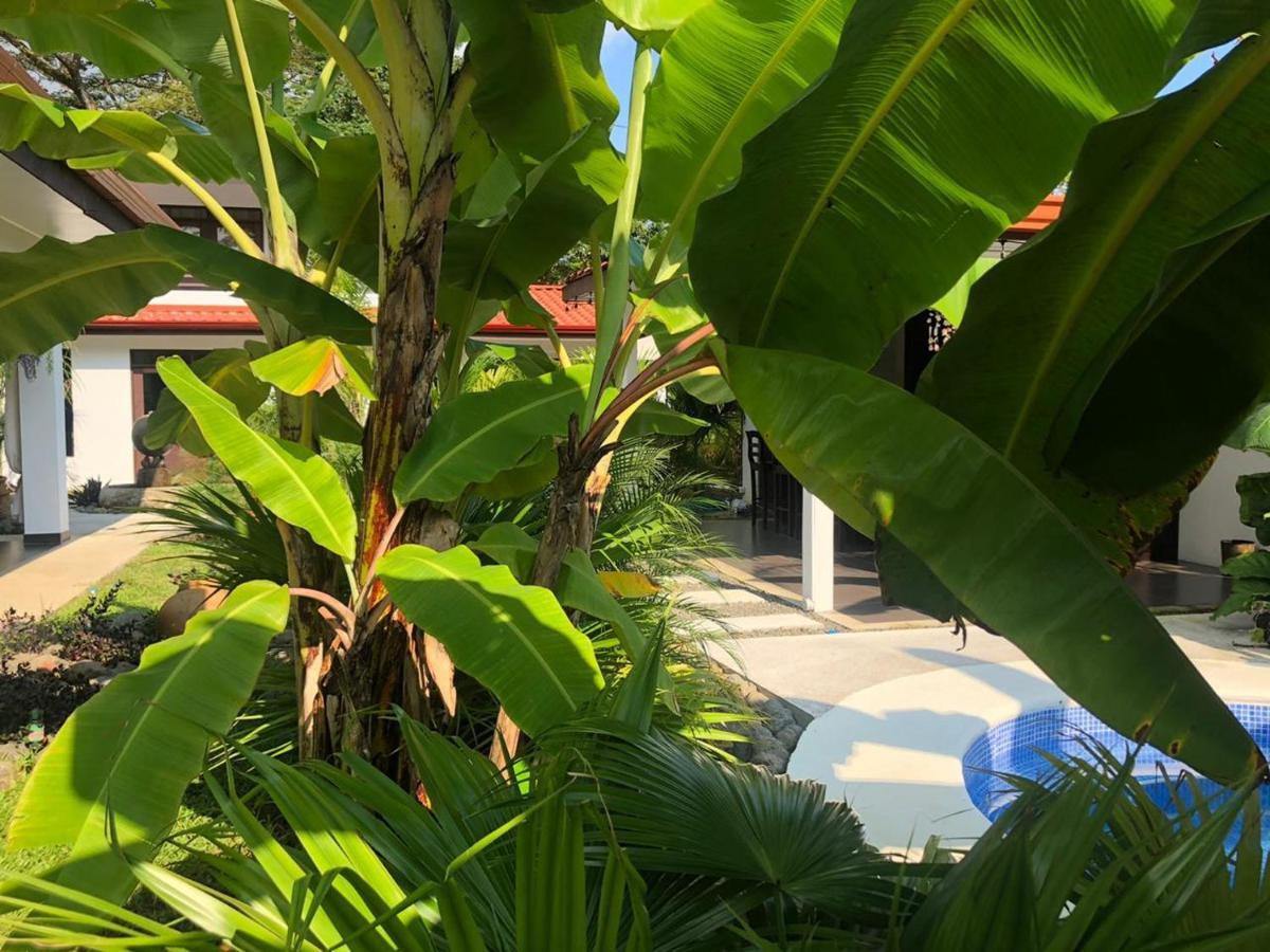 Sámara Good Life Lodge מראה חיצוני תמונה